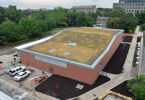 Troxel Hall green roof