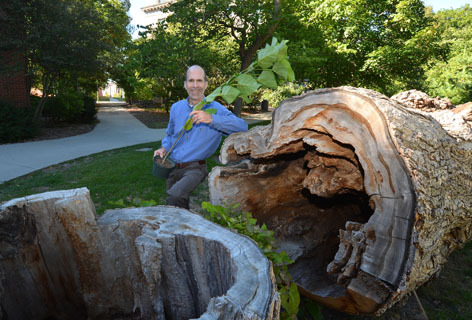 Bill Graves with catalpa tree