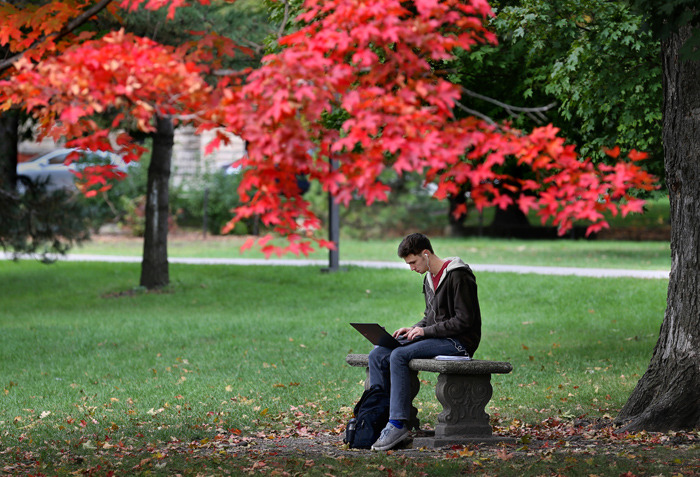Male student studies on bench near canopy of red maple leaves