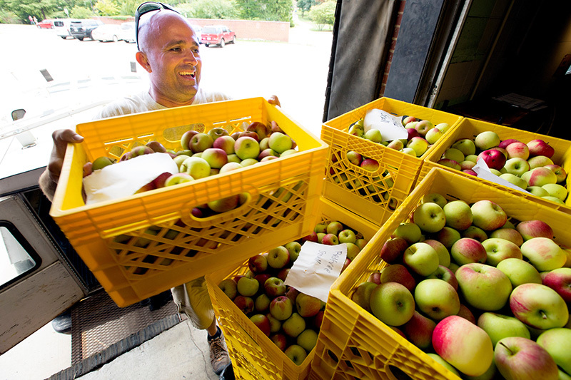 Employee unloads crates of apples