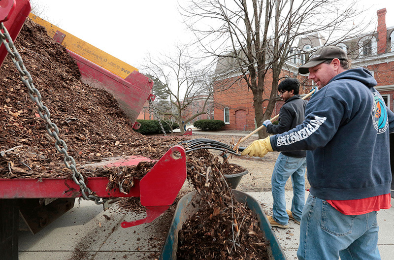 Two men move mulch from a truckbed to wheelbarrows