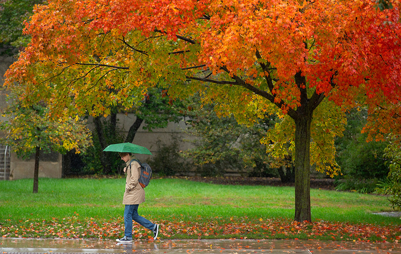 lone student under a green umbrella against orange leaves