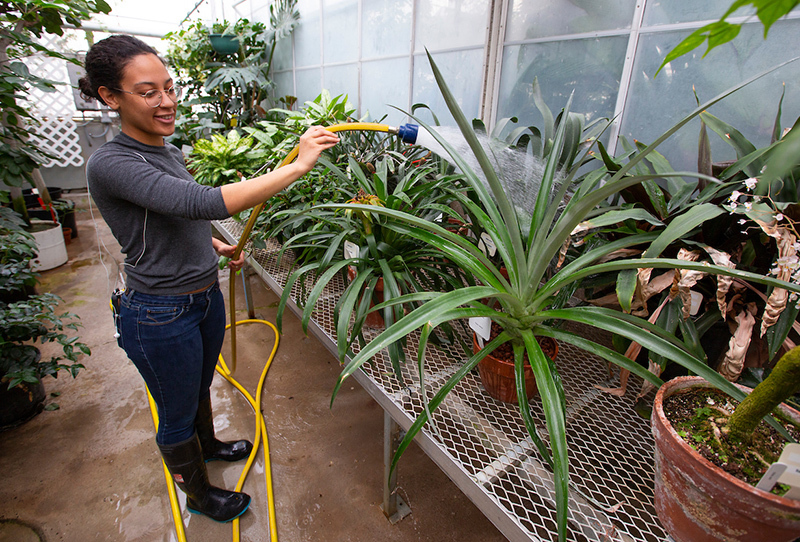 Female student Kennady Lilly waters plants in a greenhouse