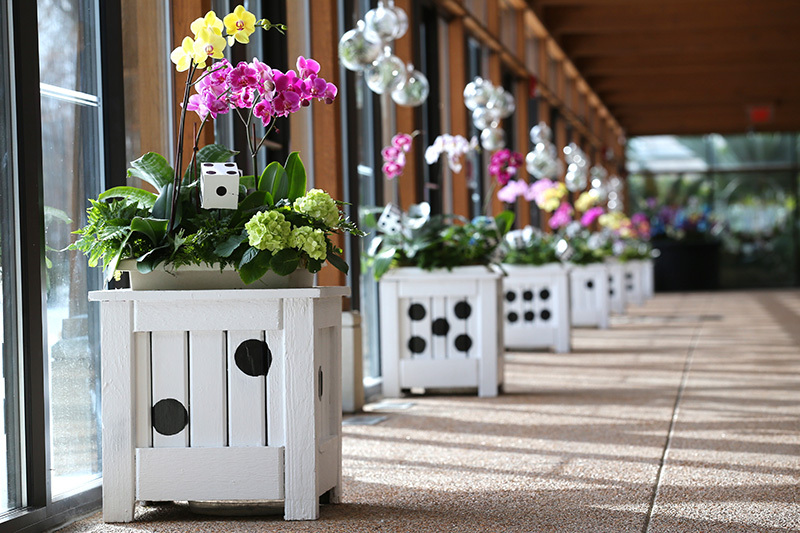 Planters decorated as dice