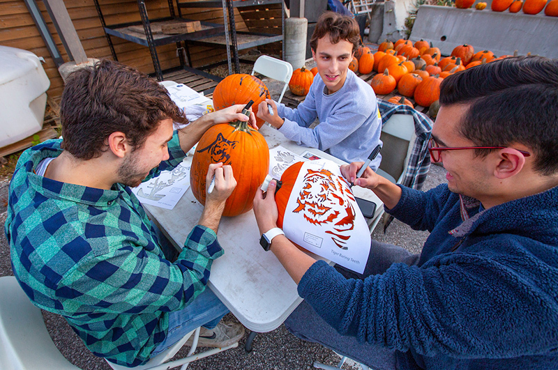 Three male students stencil pumpkins