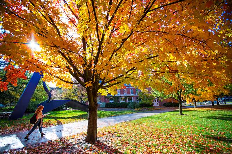Female student walks by trees bright with gold and red leaves