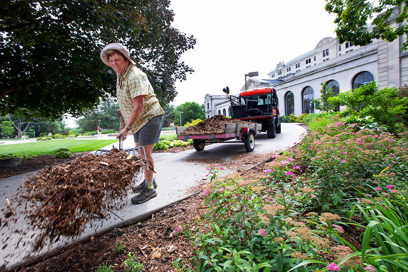 Groundskeeper Mary Schrunk adds mulch to a Memorial Union planti