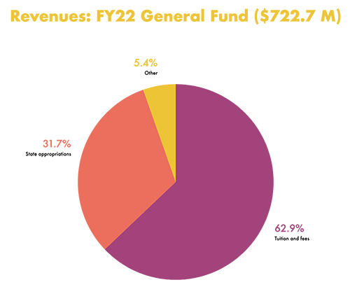 Pie chart: General fund revenues