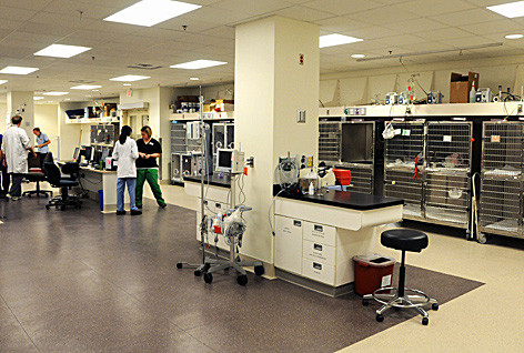 'World-class' facility upgrades at Vet Med campus are nearly complete