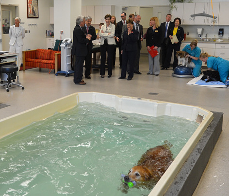 Gov. Branstad tours Veterinary Medicine