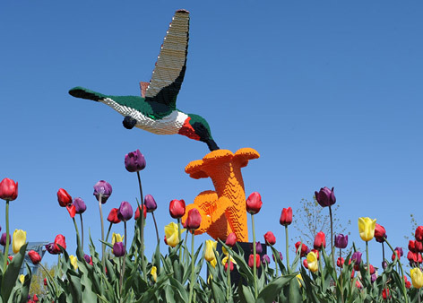 LEGO brick hummingbird