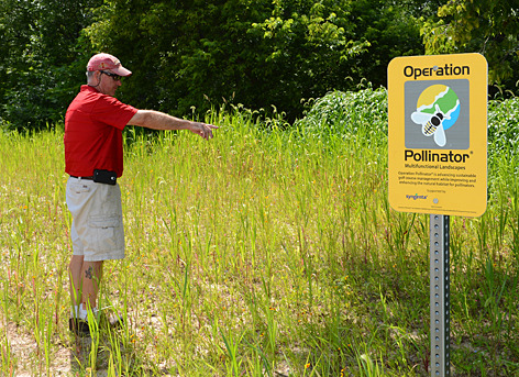 Pollinator project area at Veenker golf course