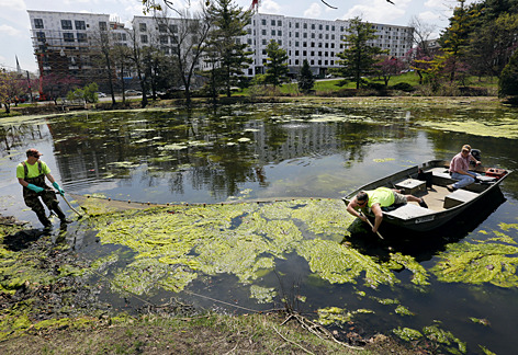 Pulling algae from Lake LaVerne.