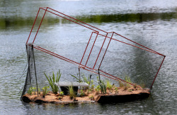 Vegetated floating island on Lake LaVerne.