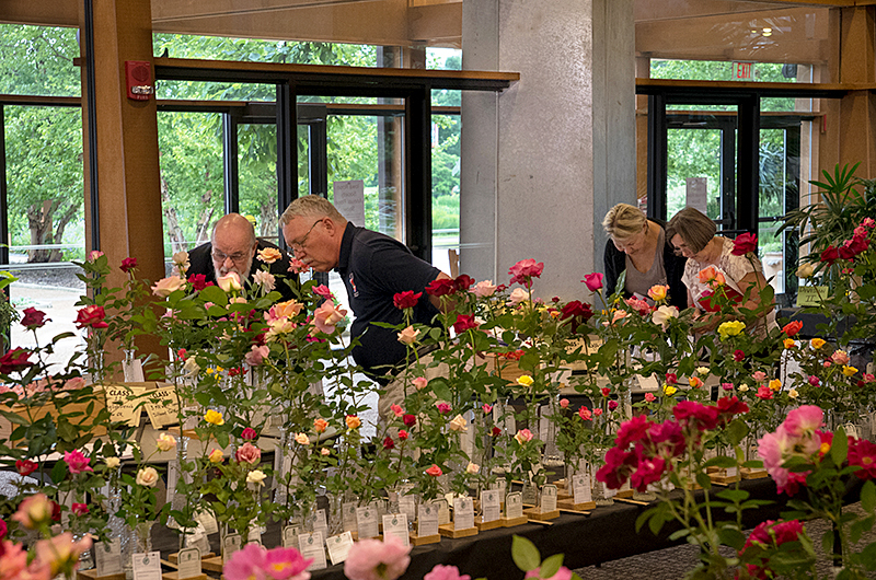 Rose Fest at Reiman Gardens