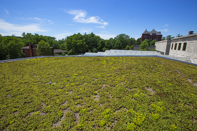 Greenroofs4