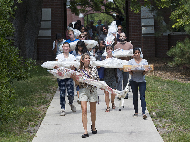 Group walking with packaged bones