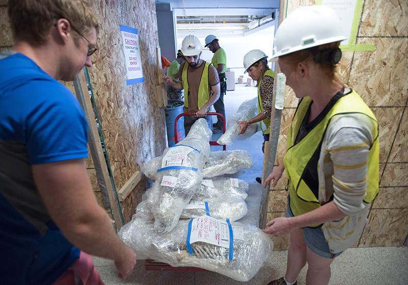 Skelton delivery to Bessey Hall