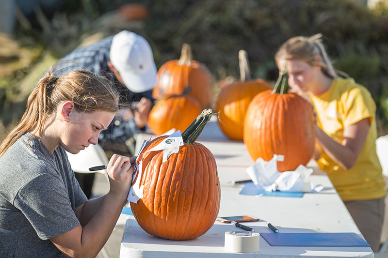 Volunteers stenciling pumpkins