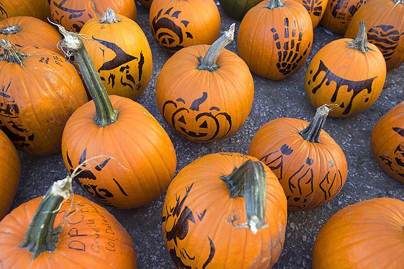 Stenciled pumpkins for carving