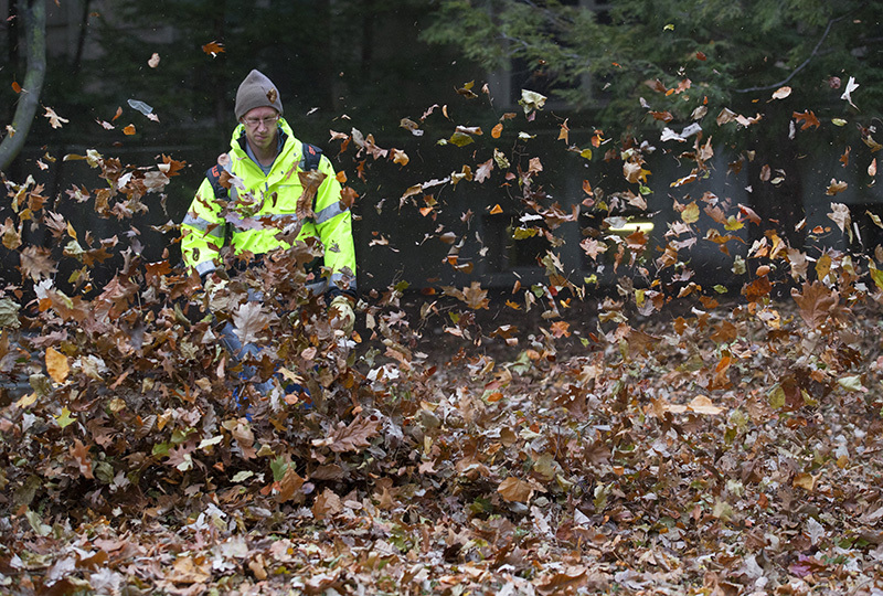 leafblower