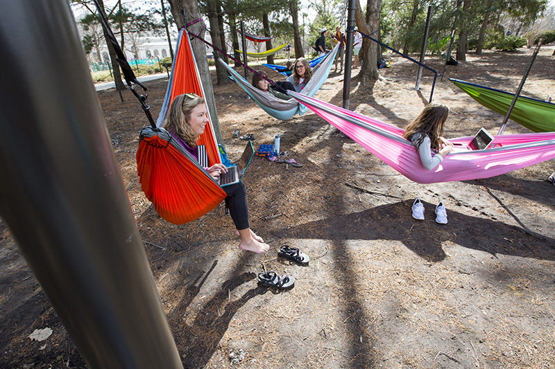 hammockinside