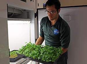 Alex Litvin holds a tray of parsley