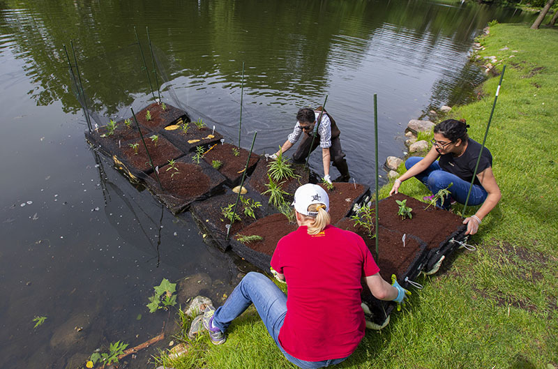 Students launch a floating island on Lake LaVerne