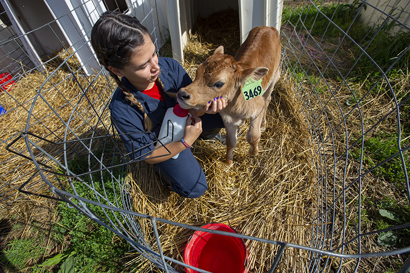 iowa state vet school tour