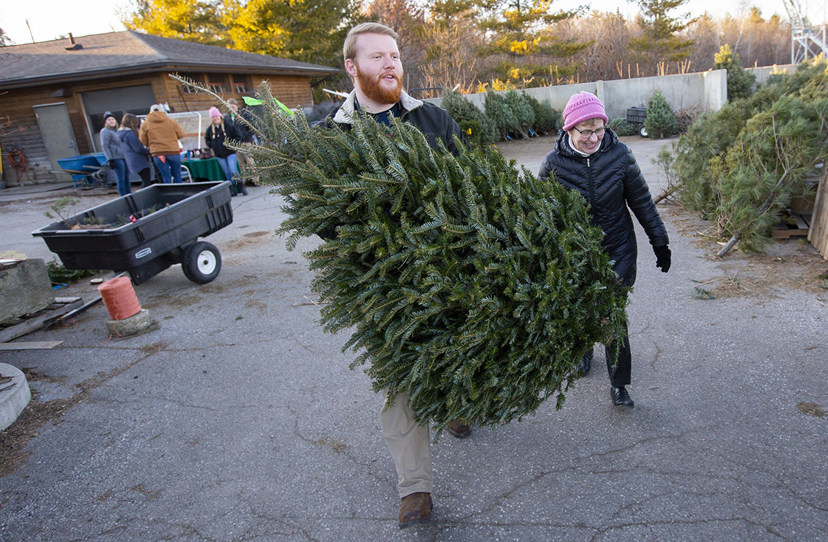 Student carries tree purchase to customer vehicle