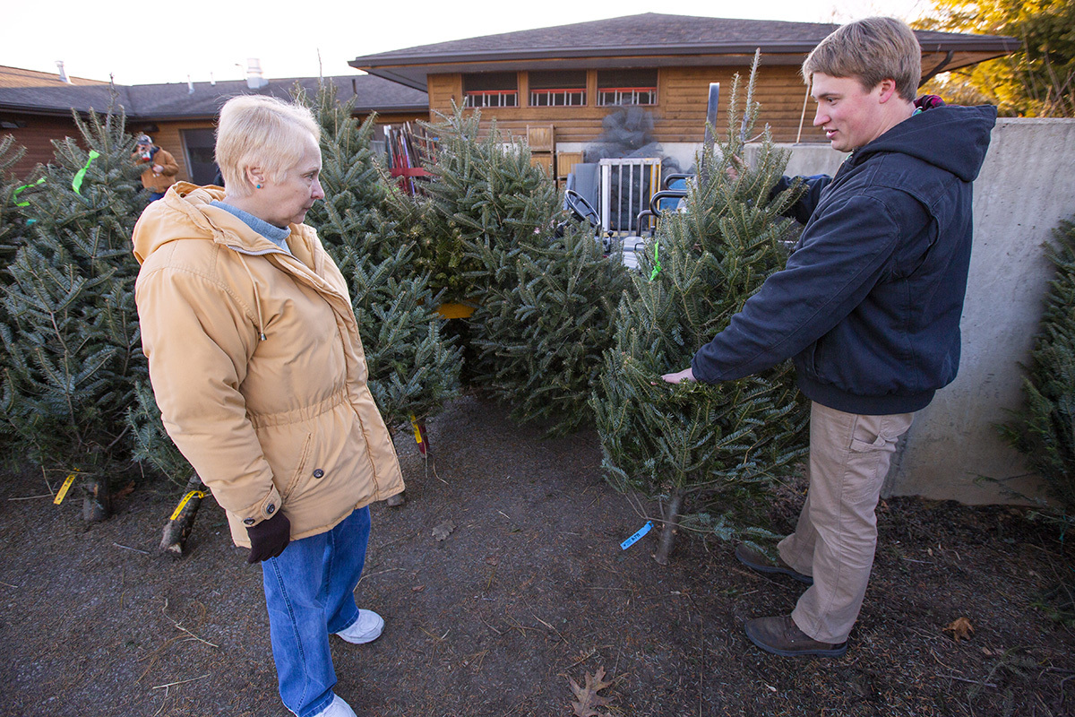 Student shows tree to customer