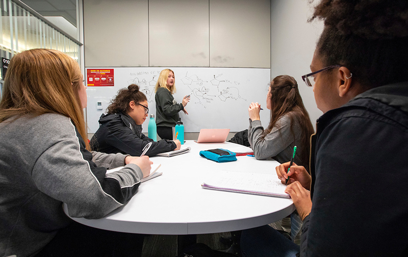 Five female students study organic chemistry in a library collab