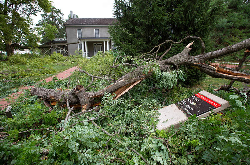 Downed trees surround Farm House Museum