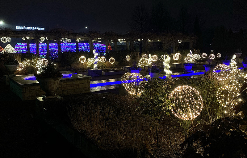 night shot of lights in Reiman Gardens
