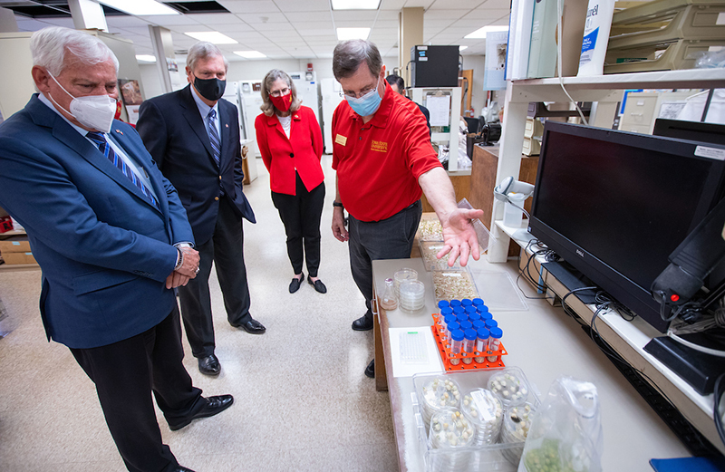 tour of the seed laboratory