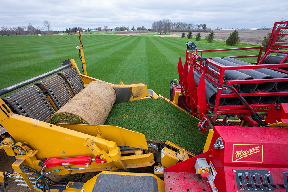 Sod cutting and rolling implement