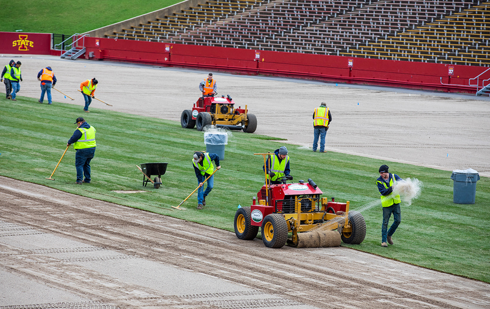 Crew lays out sod on sand base