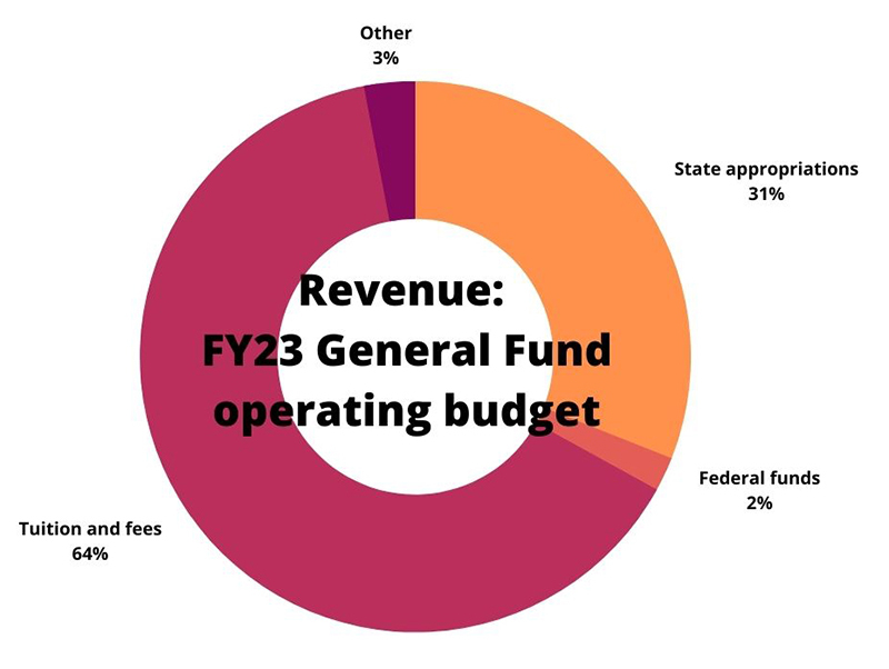 Pie chart showing source of Gen Fund revenue