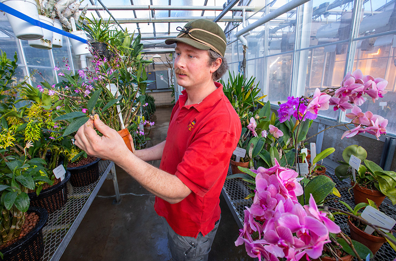 Greenhouse manager Kenny McCabe