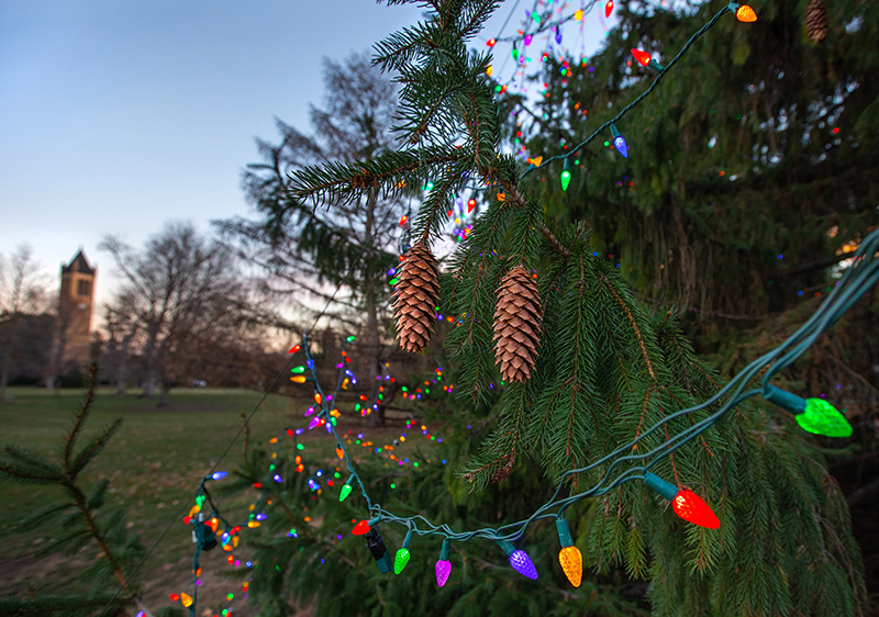 close-up of lights on central campus holiday tree