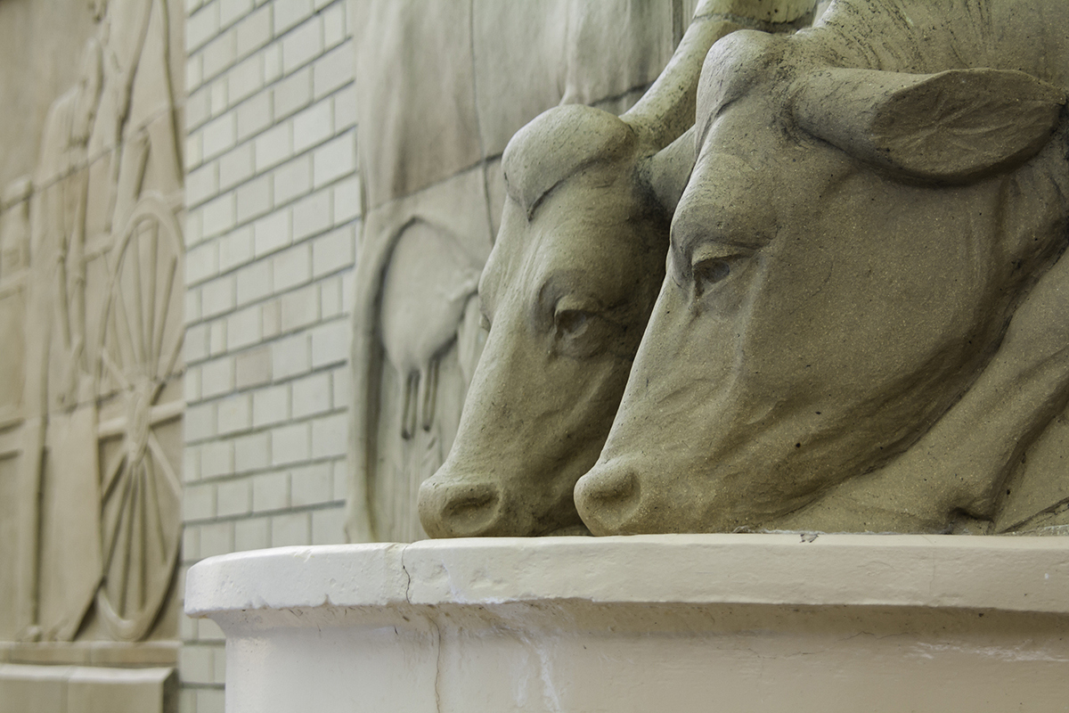 Detail of two cow heads from a limestone 3D mural
