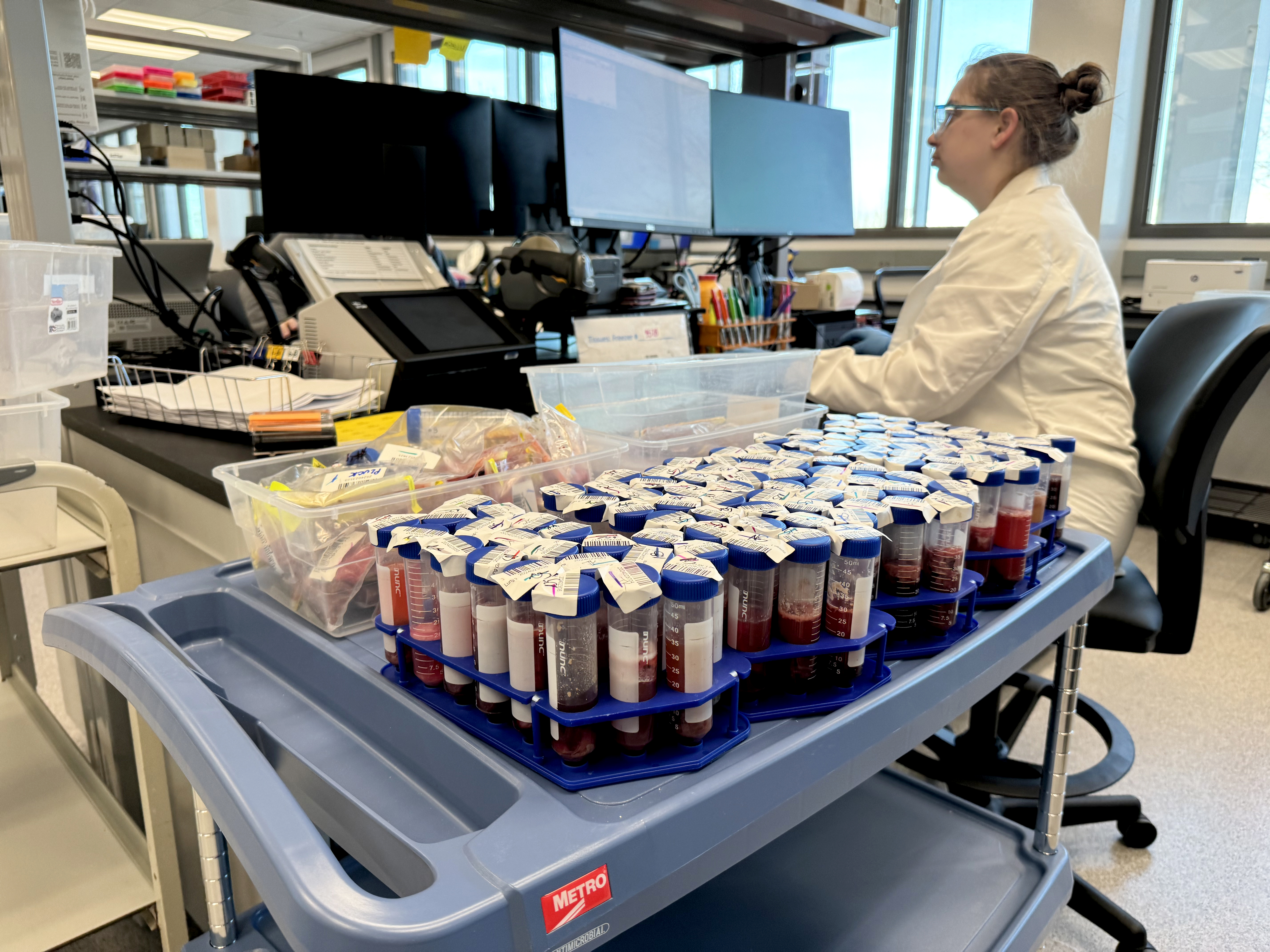 Cart contains dozen of animal fluid samples with labels on cover