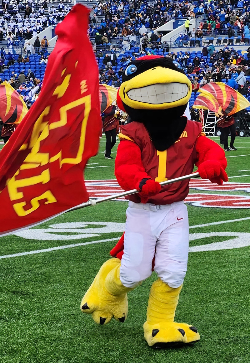 Red bird mascot in football uniform waves flag on field